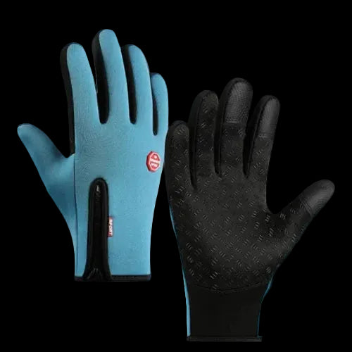 Windproof Winter Thermal Gloves